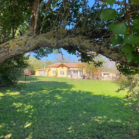 Ferienhaus Primorska Sunshine In Strandnaehe Shabla Esterno foto