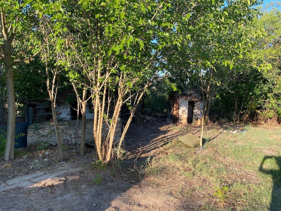 Ferienhaus Primorska Sunshine In Strandnaehe Shabla Esterno foto
