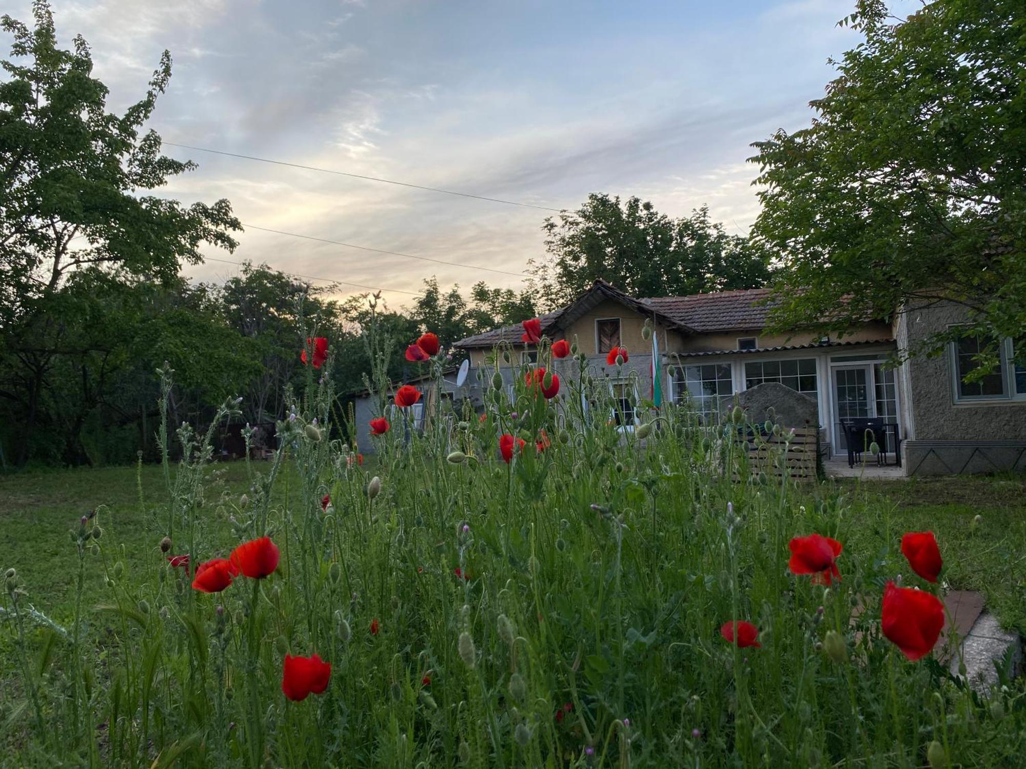 Ferienhaus Primorska Sunshine In Strandnaehe Shabla Esterno foto